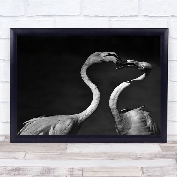 So It All Began Flamingo Flamingos Bird Birds B&W Animal Animals Wall Art Print