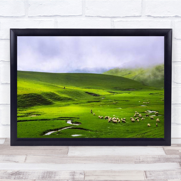 Yayla Green Animal Animals Shepherd Sheep Field Fields Landscape Wall Art Print