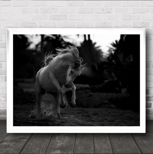 Boast Horse Animal Jump Dust Dark Power Force Freedom Free B&W Wall Art Print