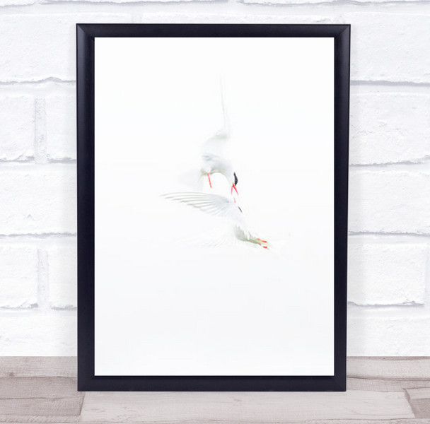 Meetings High Key High-Key Birds Bird Bright Flight Fly Flying Wall Art Print