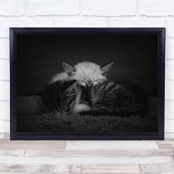 Sweet Dreams Animal Animals Kitten Kittens Cute Sleep Sleeping Wall Art Print