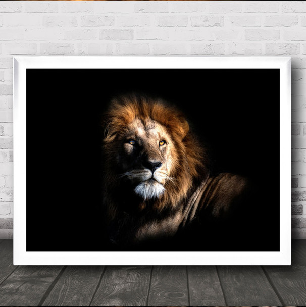 The Simber Dark Low Key Low-Key Feline Lion King Vignette Mane Wall Art Print