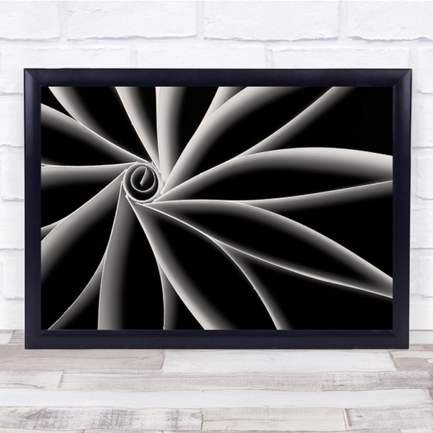 Curves Abstract Flower Graphic Light Shadows Still Life Paper Wall Art Print