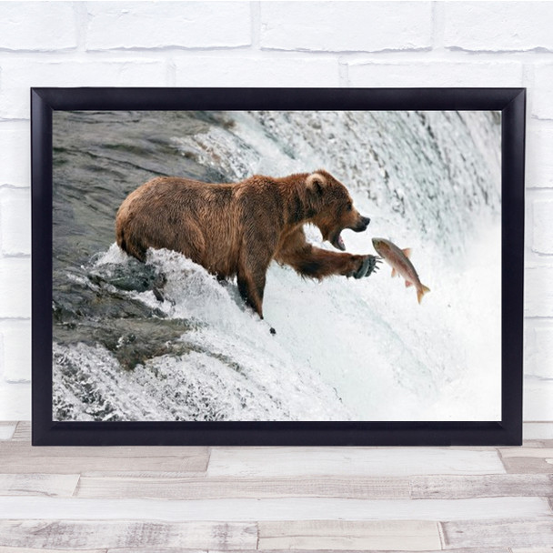 Unlucky Jump Bear Salmon Fish Catch Caught Predator Prey Hunt Wall Art Print