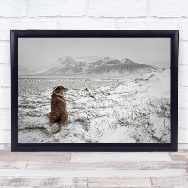 Snowstorm Iceland Dog Animal Alone Mountain Landscape Nature Wall Art Print