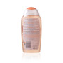 Femfresh Daily Initmate Wash 250ml