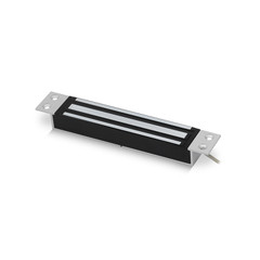 ICS Mini Mortice Monitored Maglock, 12/24V DC