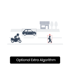 Concept Pro AI Bridge Licence - Road Pedestrian Detection (1CH)