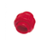 Socket Union (Red)