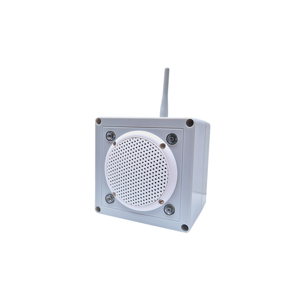 External voice annunciator with white LEDs