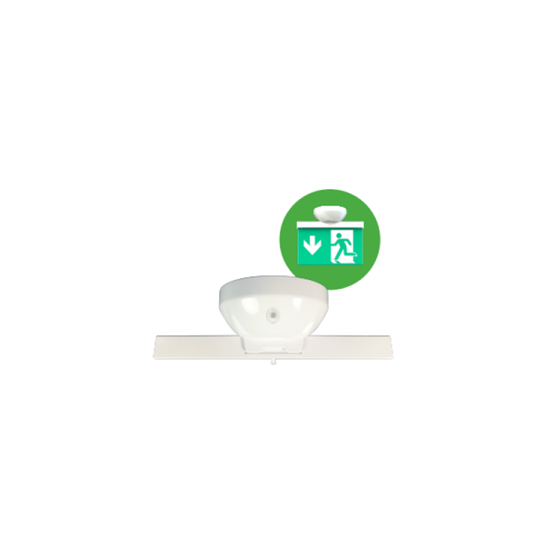 20m exit sign no lens w/battery