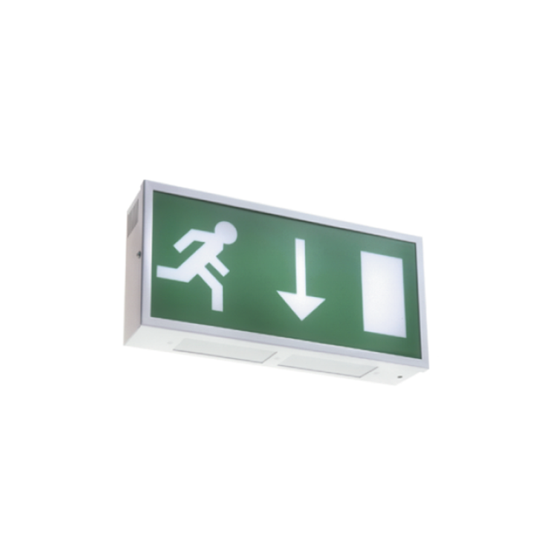 Escape Exit LED Maintained metal boxed single sided addressable exit sign (Arrow Down)