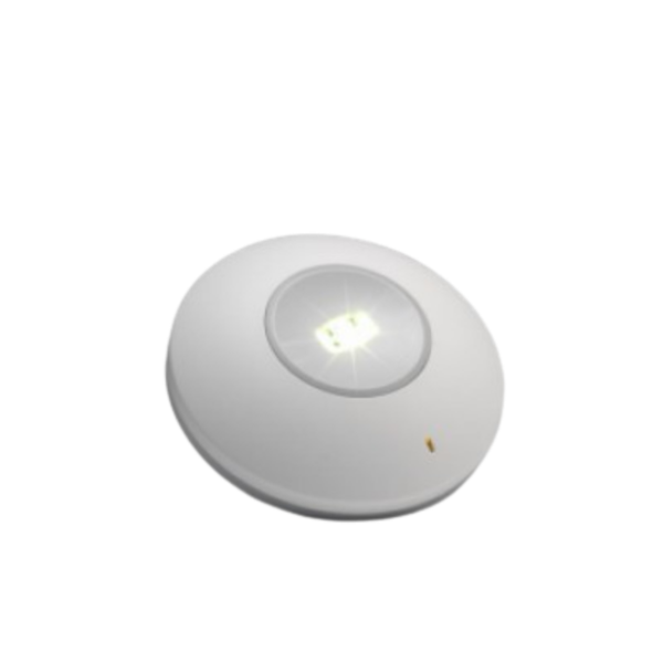 Low Voltage open area corridor lens luminaire - complete with NiCd battery