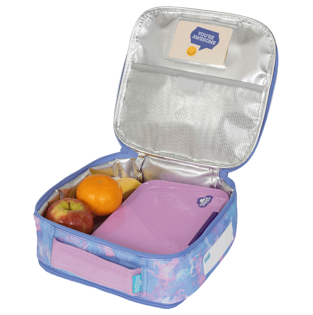 Mini Ice Cooler Purse Little Cooler Lunch Bag Chill Pack Spencil1