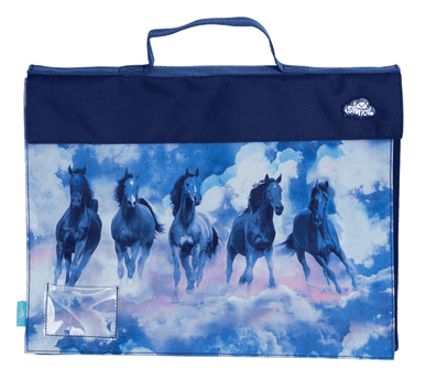 Library Bag - Sky Dancer