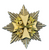 Grand Cross of the Order of of the Geman Eagle Grand Cross of the Order of of the Geman Eagle