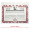 LLC Kit, 3-Ring Zippered Faux Leather Binder, Blank  Certificate
