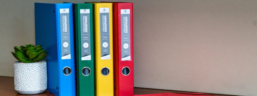 Financial Organization