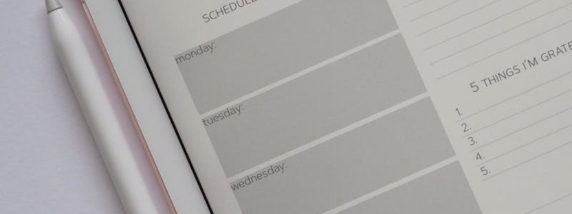 You Need A Planner You Need A Planner