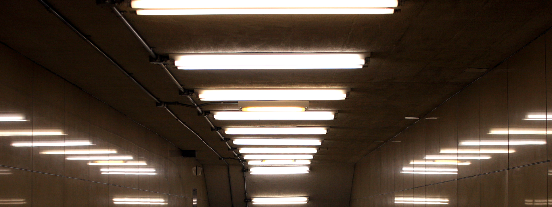 fluorescent overhead lights