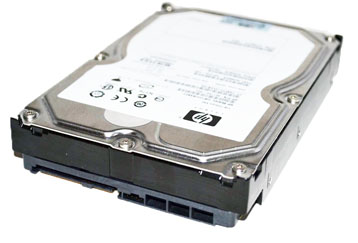 Hewlett-Packard (HP) DF300BB6C3 - 300GB 15K RPM 3GB/s Dual Port Hot Plug SAS LFF 3.5" Hard Disk Drive (HDD)