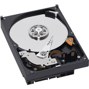Western Digital WD1600AVCS - 160 GB  16 MB Cache SATA 3 Gb/s 3.5" AV-GP Hard Drive