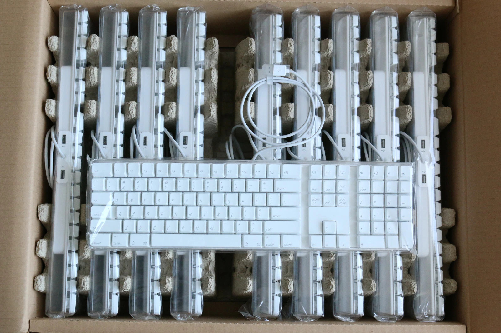 美品】Apple Keyboard M9034J/A A1048 USB 有線 Apple Apple Mac