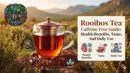 Rooibos Tea Caffeine-Free Guide: Health Benefits, Taste, And Daily Use