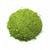 Tea The World Organic Ceremonial Matcha powder, product detail