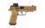 SIG P365 9MM 3.7 DH3 COY 21RD RXSL