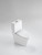 BENO SERIES ELONGATED TOILET WITH DUAL FLUSH -- 2064   BENO SERIES ELONGATED TOILET WITH DUAL FLUSH -- 2064