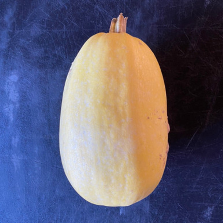 Spaghetti Squash