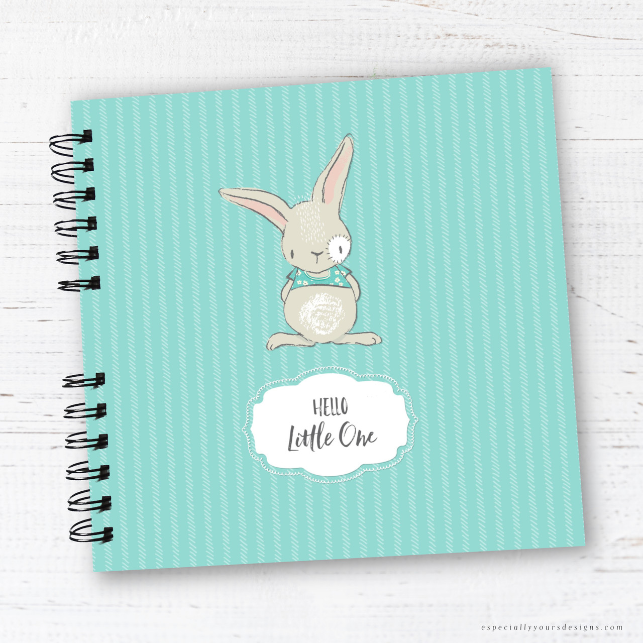 bunny baby book