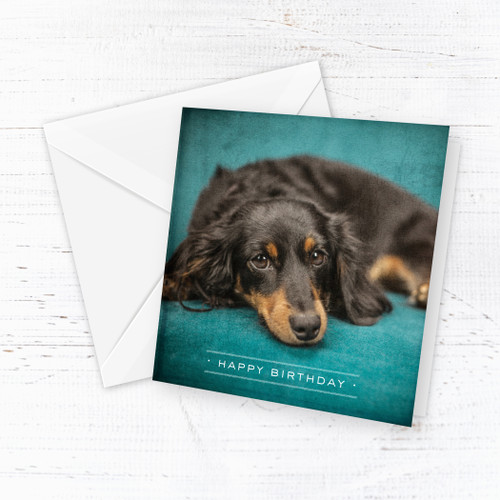 Teal Dog Birthday Card 