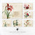 Vintage Botanical Birthday Calendar | Congregational or Family Birthday Calendar