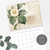 Vintage Botanical Wall Calendar