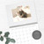 Cute Cats Wall Calendar