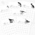 2024 Calendar | Black & White Vintage Birds | PDF or Printed 