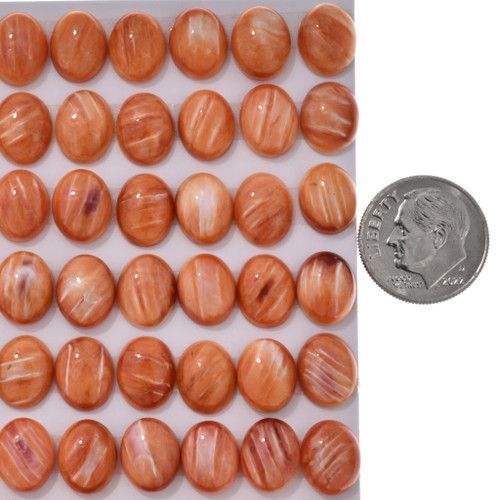 Spiny Oyster Cabochons 37803
