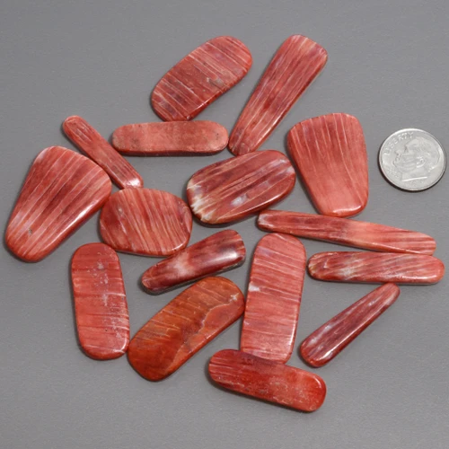 Red Spiny Oyster Cabochon Lot 50025