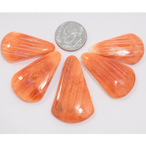 Natural Spiny Oyster Cabochons Sets 50118