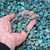 Sonoran Gold Campitos Turquoise Rough Nuggets 37340