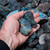 Deep Blue Shattuckite Rough Nuggets 37514