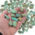 Rough Tumble Polished Sonora Turquoise Nuggets 37739