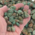 Rough Tumble Polished Sonora Turquoise Nuggets 37739