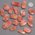 Natural Spiny Oyster Cabochons 50026