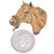 Brass Horse Head Bust Western Cowboy Cowgirl Jewelry Supplies 36526