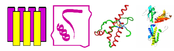 Receptors Molecular BV