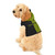 Pet Hoodie - Disruptiv