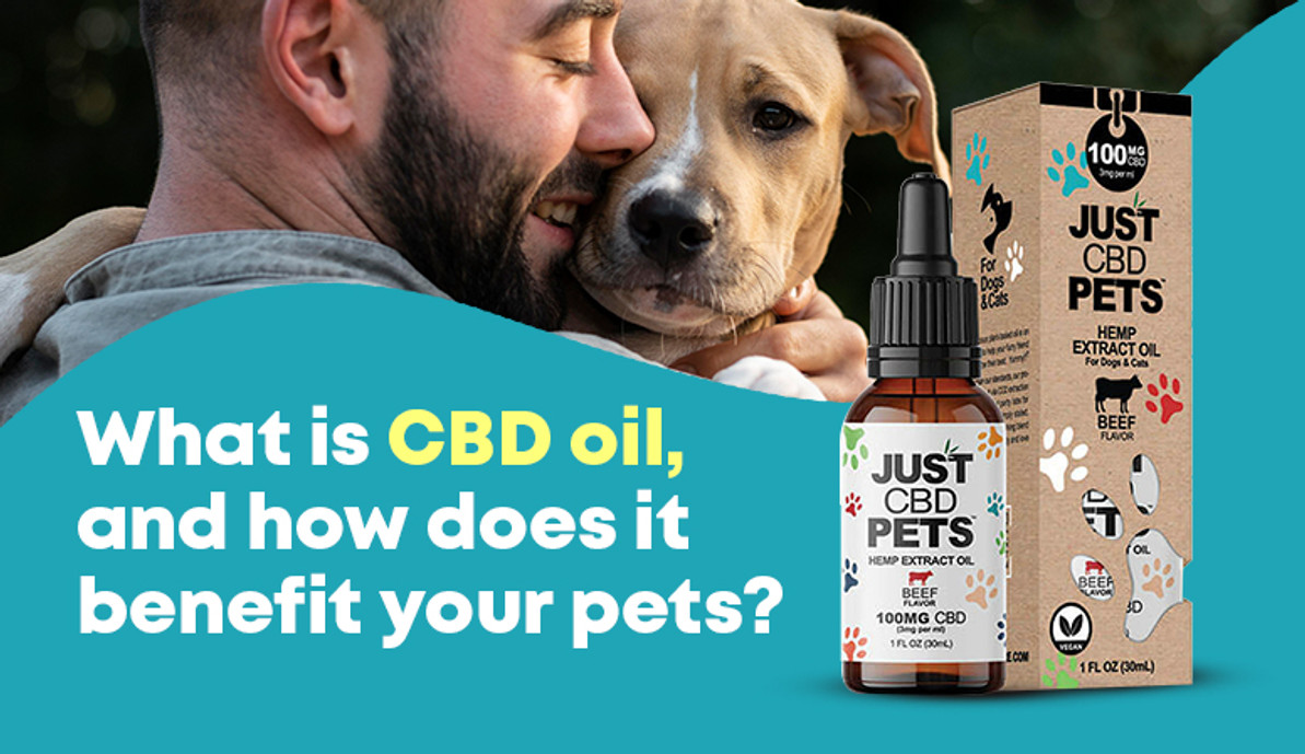 What Is CBD Oil, And How Does It Benefit Your Pets?